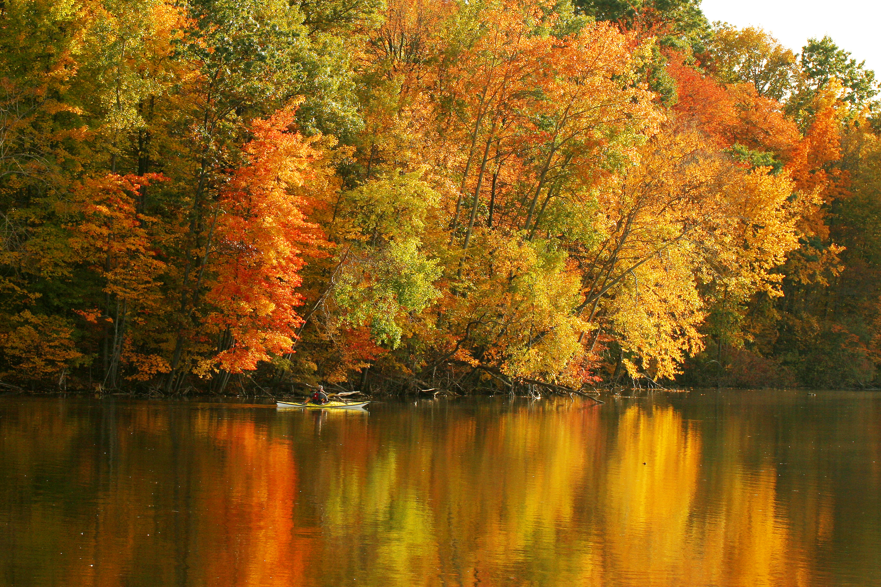 Lake in autumn with trees with colorful leaves