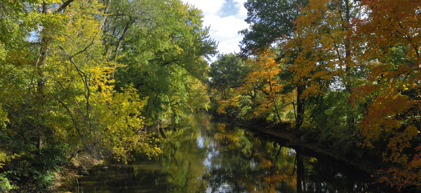 Red Caedar River running through Michigan State's campus