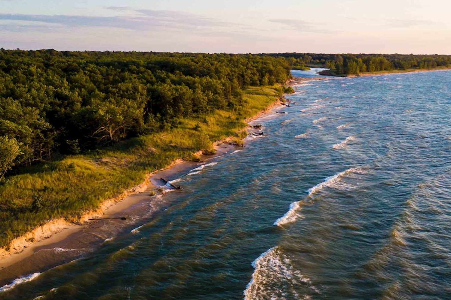 lake shoreline with trees