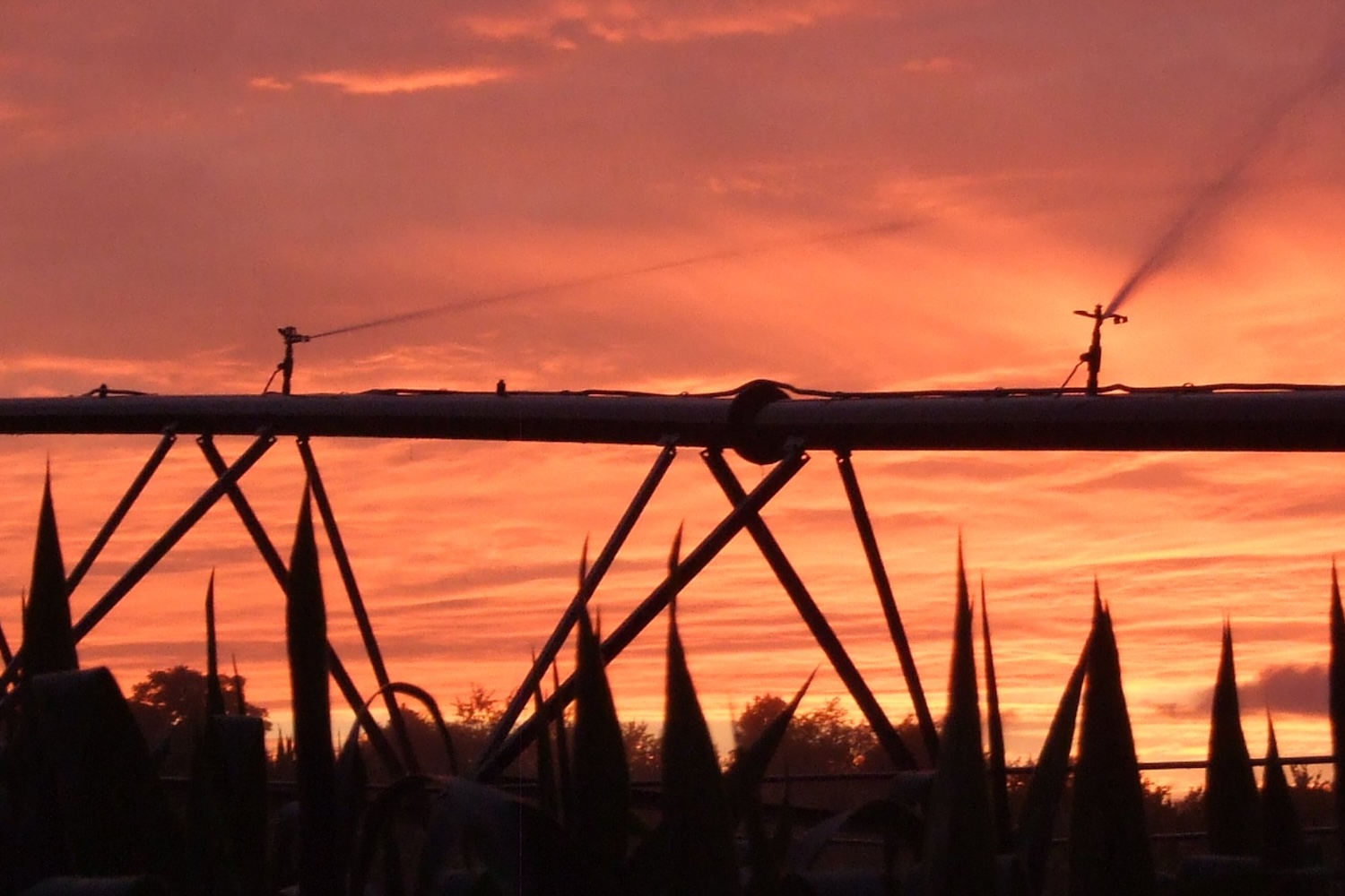 Irrigation system durring a sunset