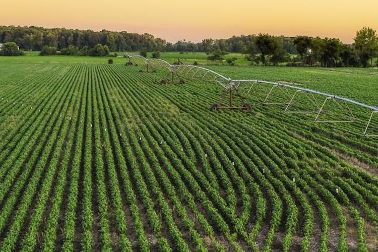 Irrigation System in Field