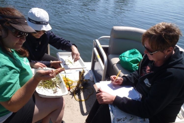 Angela De Palma-Dow in the field with volunteers helping to identify some plants and record their findings