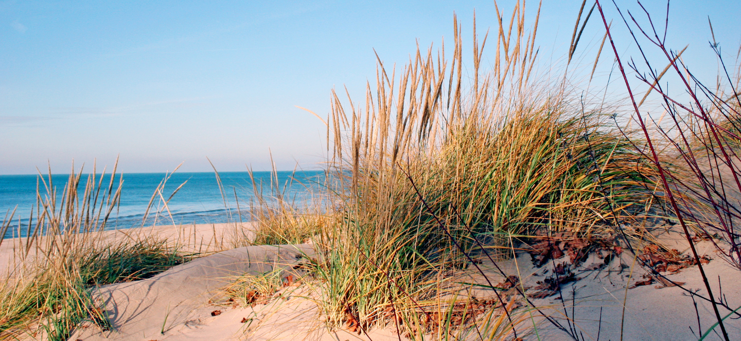 Beach in Michigan.