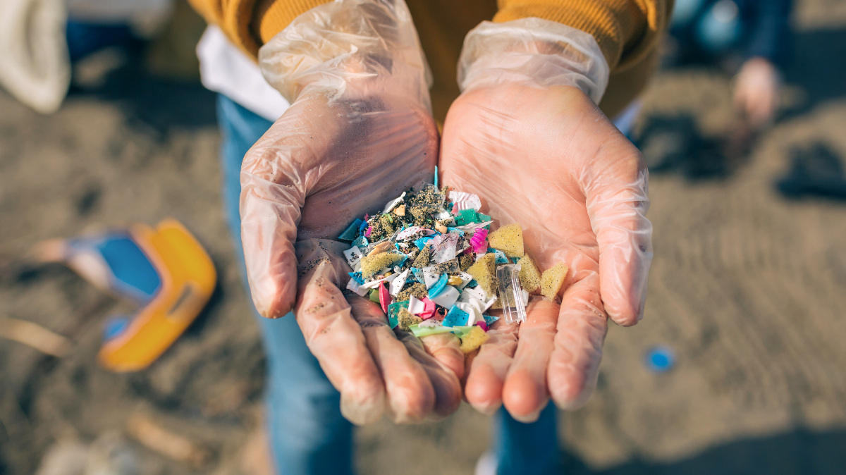 Microplastics in person's hands.