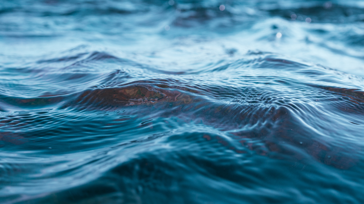 Sea of water.