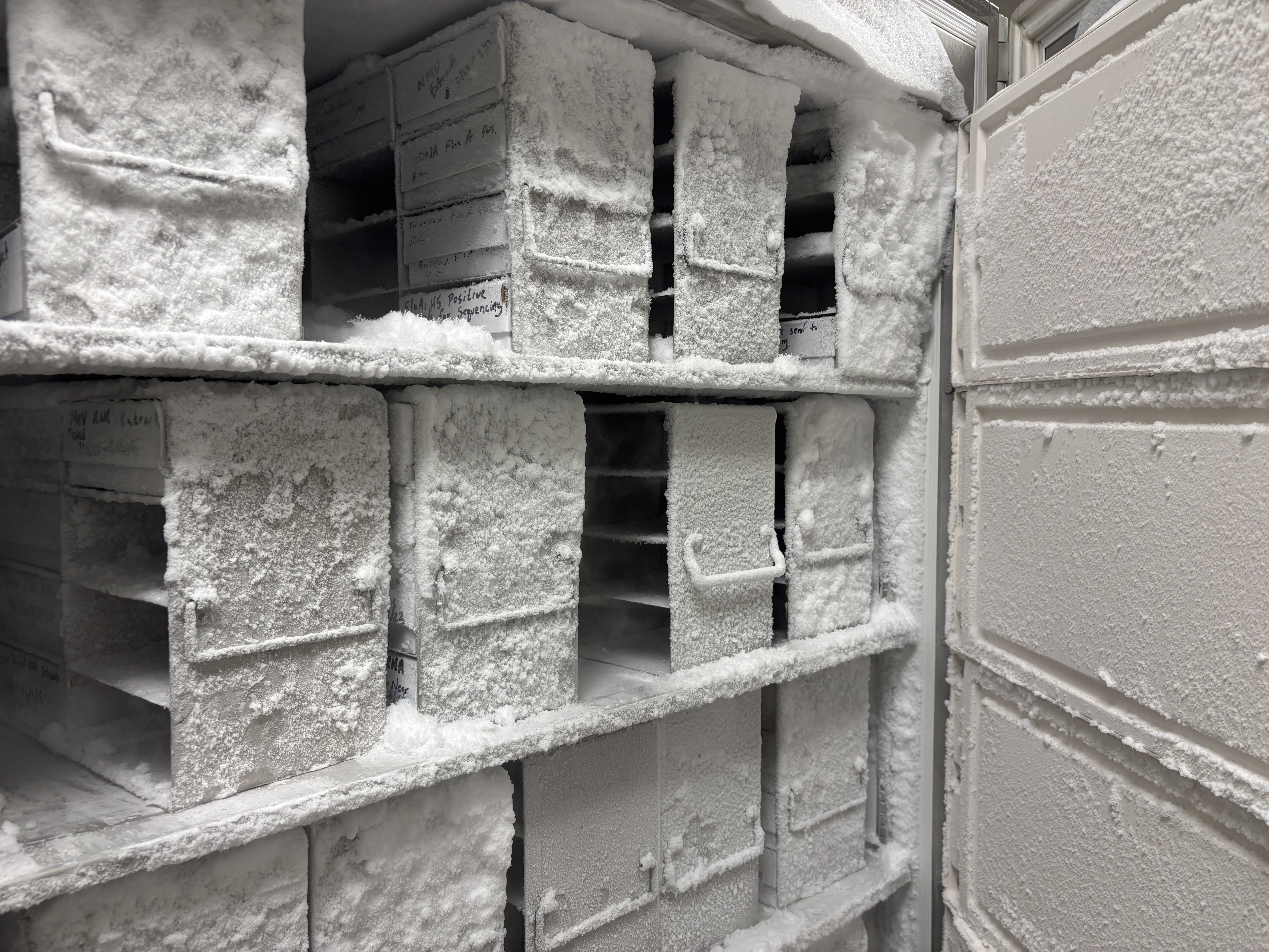 Rose Lab freezer.
