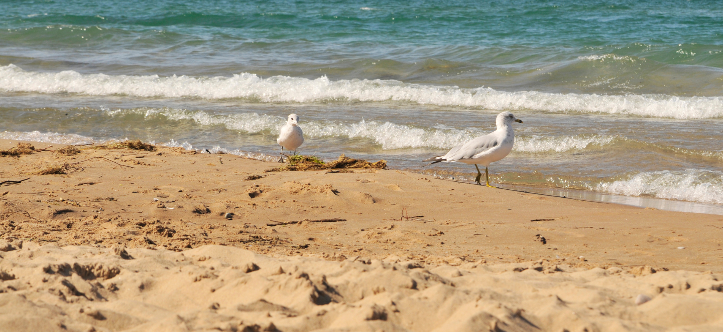 Glen Haven Beach in Sleeping Bear Dunes National Lakeshore. 