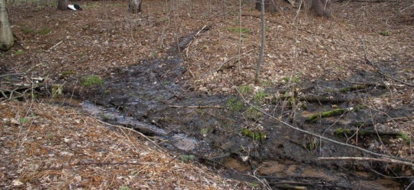 A narrow stream of dark water flows through a wooded area covered in fallen leaves.