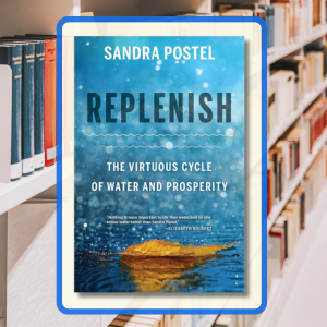 Replenish book cover.