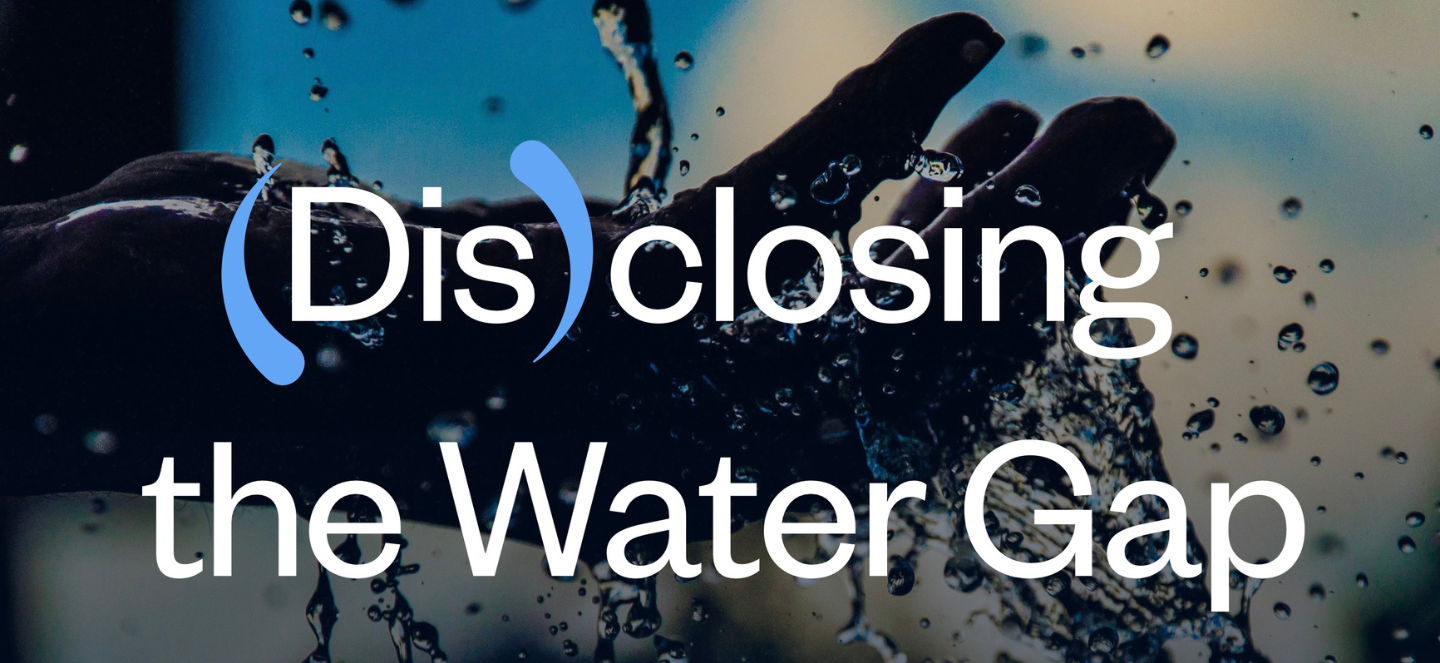 Disclosing the Water Gap website homepage.