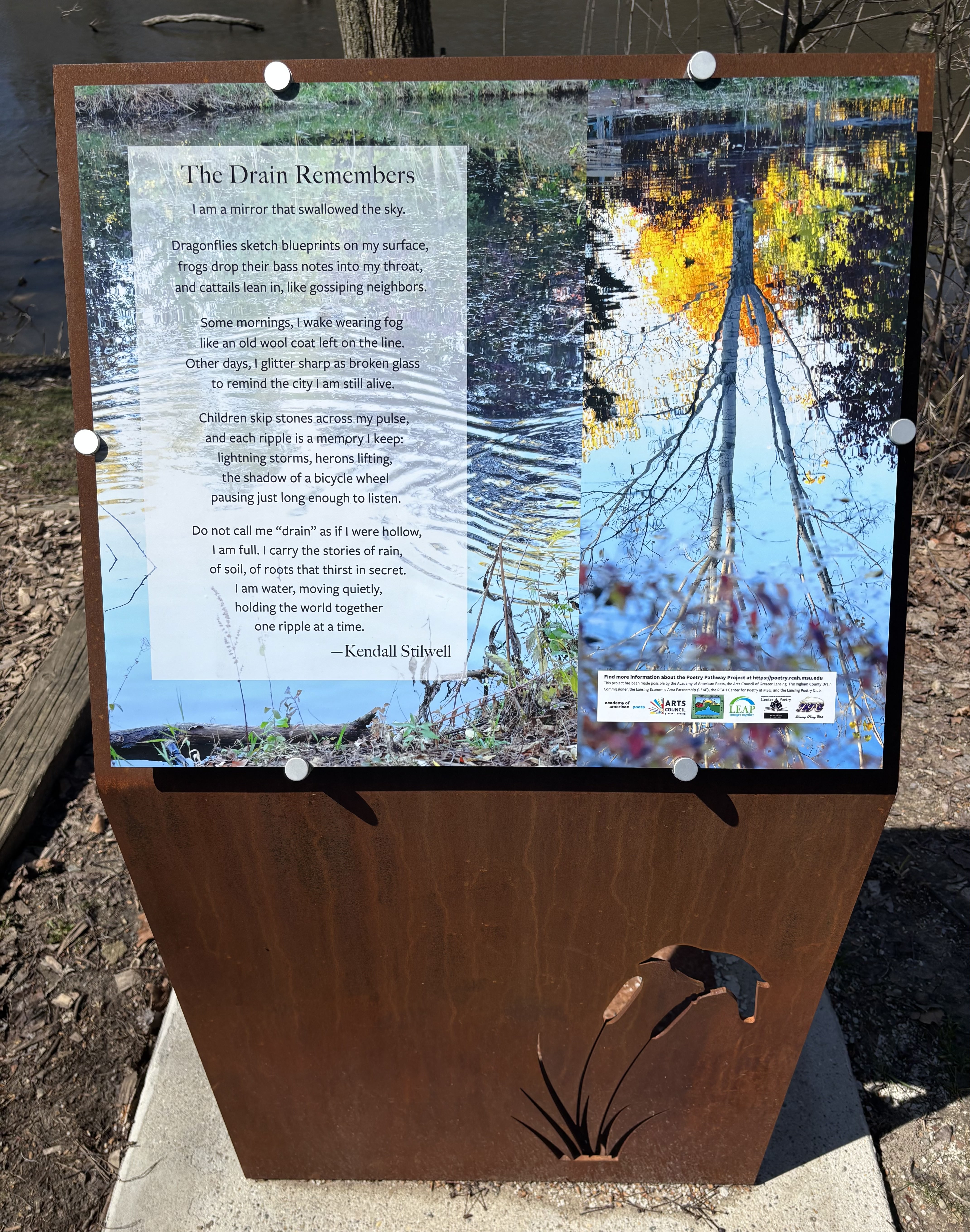 The Drain Remembers by Kendall Stilwell.