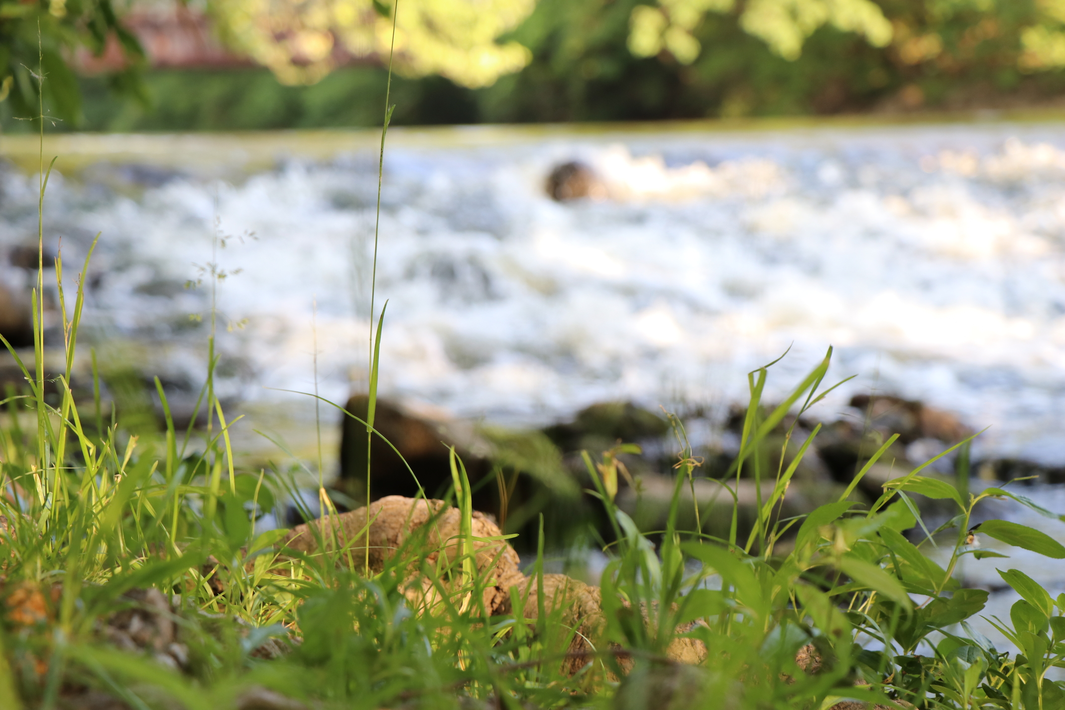 Water flowing over rocks.