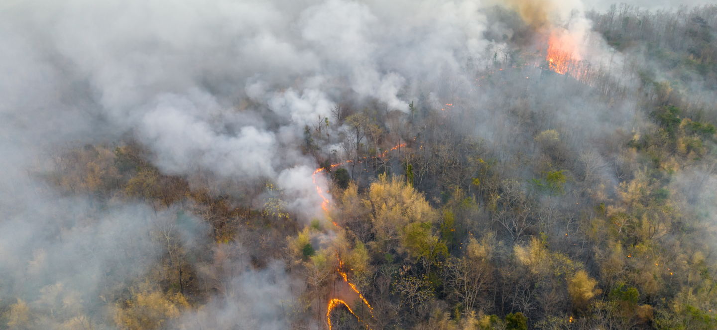 Wildfire smoke.