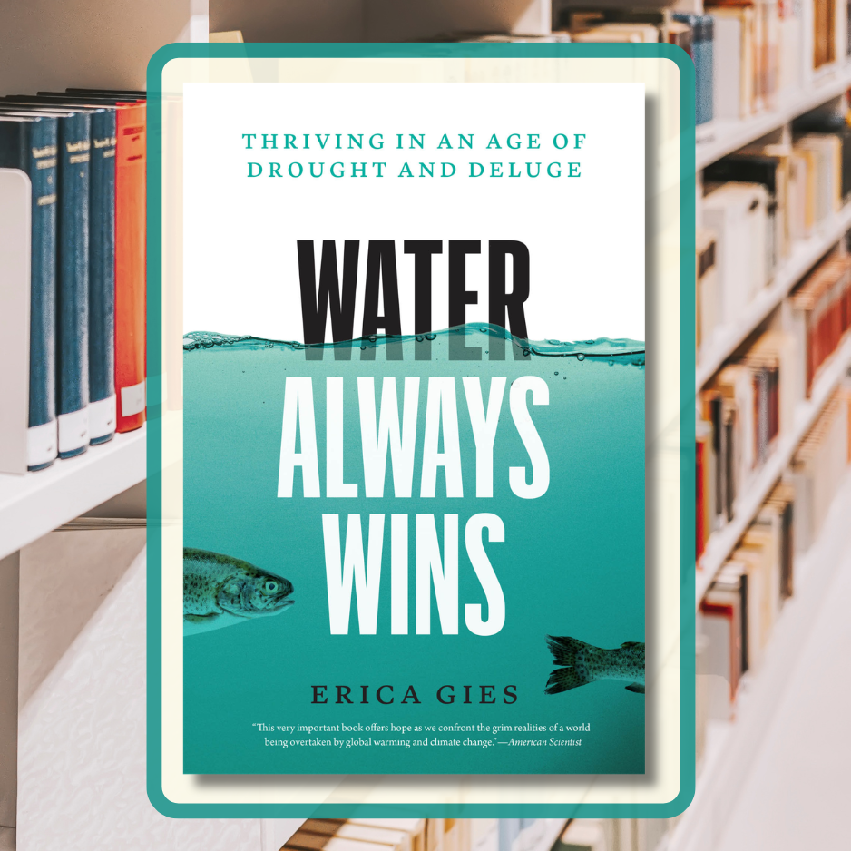 Water Always Wins book cover.