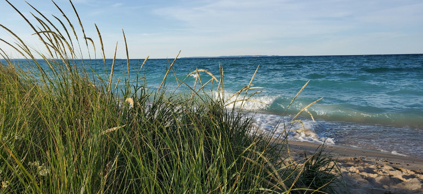 Header background Image
