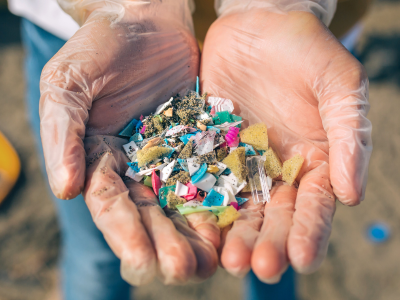 Person holding microplastics. 