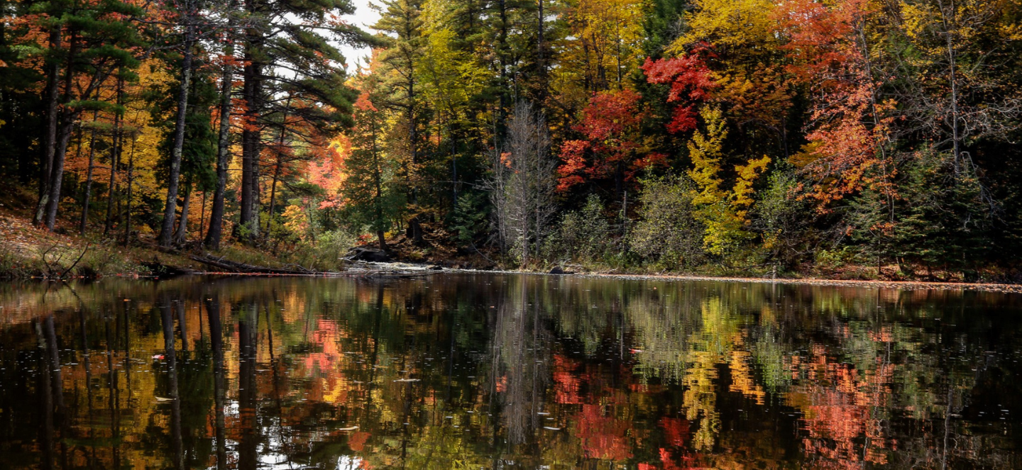 Fall foliage near water in the UP.