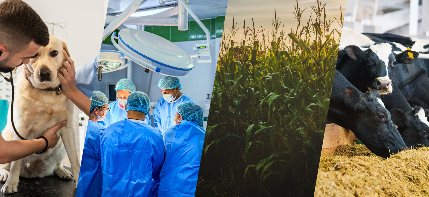 Photo collage of plant, animal, and human health.