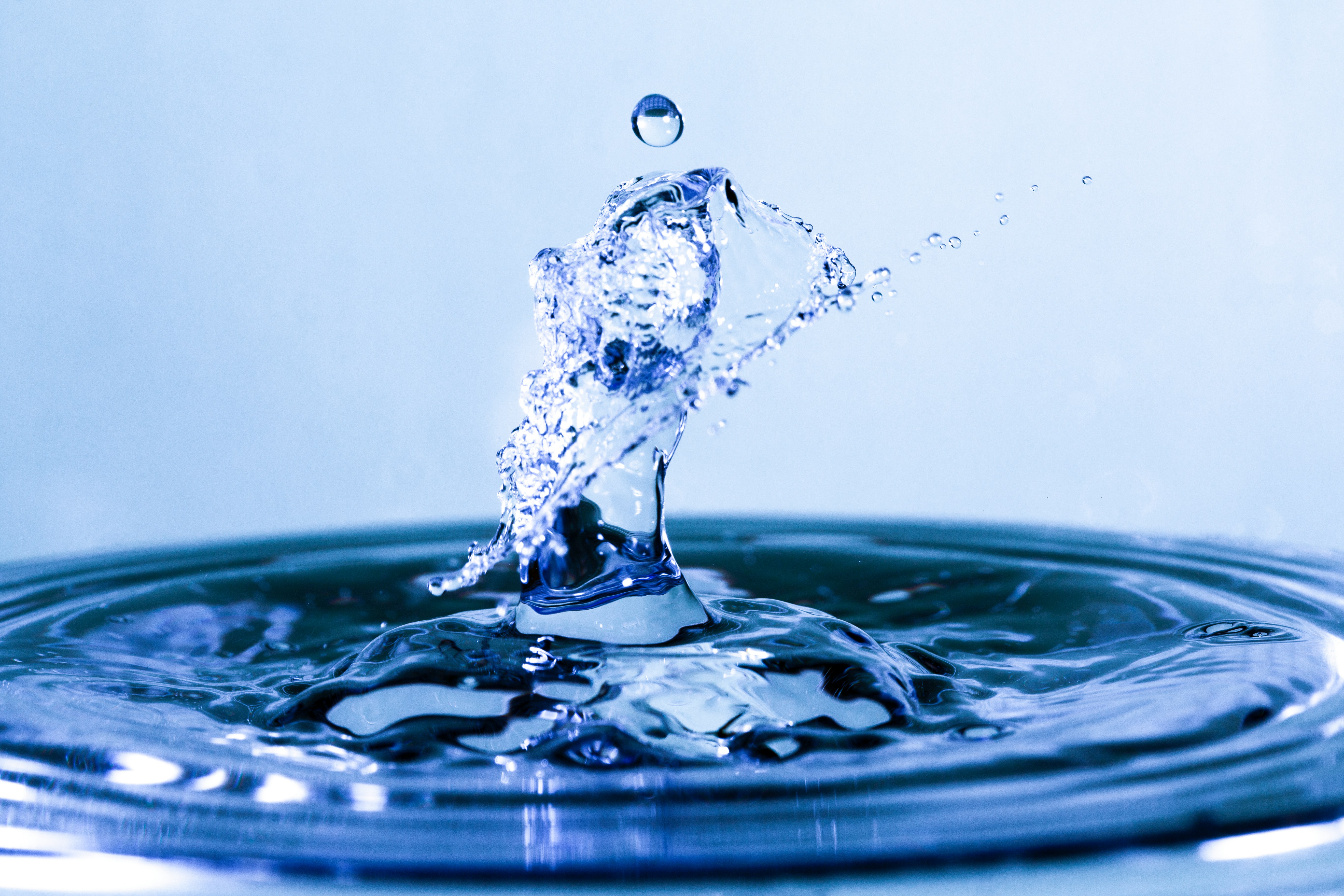 Splash of water.
