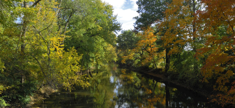 red cedar river