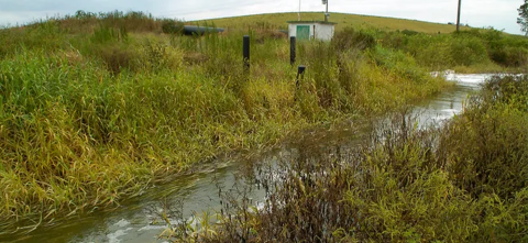 A field with a small brook running through it