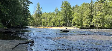 tree lined river near Tahquamenon Falls, Michigan 