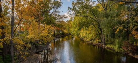 Red Cedar river with fall folliage