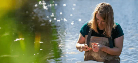 woman in waders in the water doing research