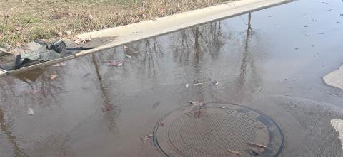 standing water on street