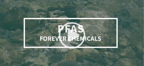 PFAS: Forever Chemicals.