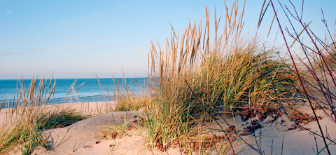 Beach in Michigan.