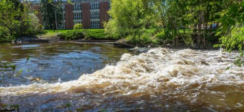 Red Cedar River