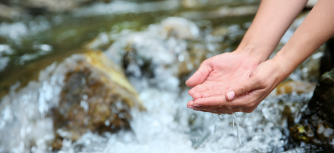 Person holding their hands in water.