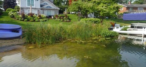A lakeshore scene showing houses with manicured lawns, a dock, a pontoon boat, and tall shoreline grasses.