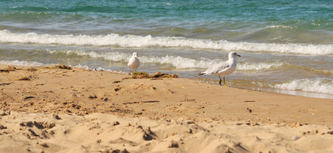 Glen Haven Beach in Sleeping Bear Dunes National Lakeshore. 