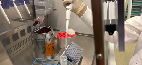 Person pipetting in the lab.