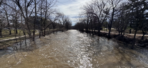 A flooded, fast-moving river running between two rows of bare trees with muddy brown water at high levels, photographed from a bridge or elevated vantage point.