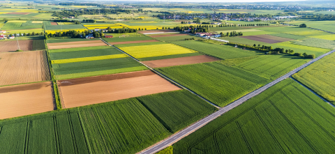 Aerial view of farmlands.